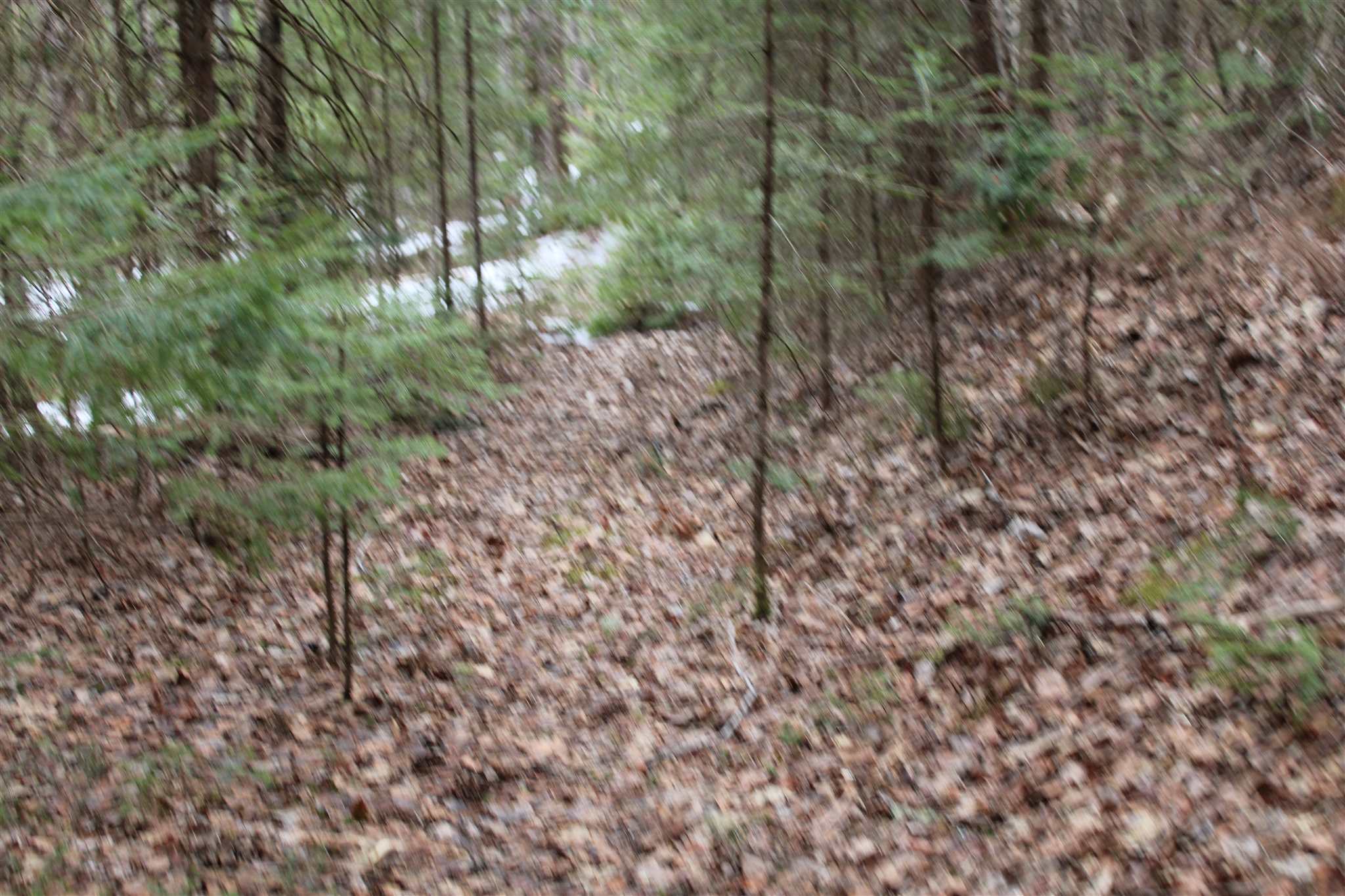 Faraway Road Dalton, NH 03598 - Photo 11 of 15
