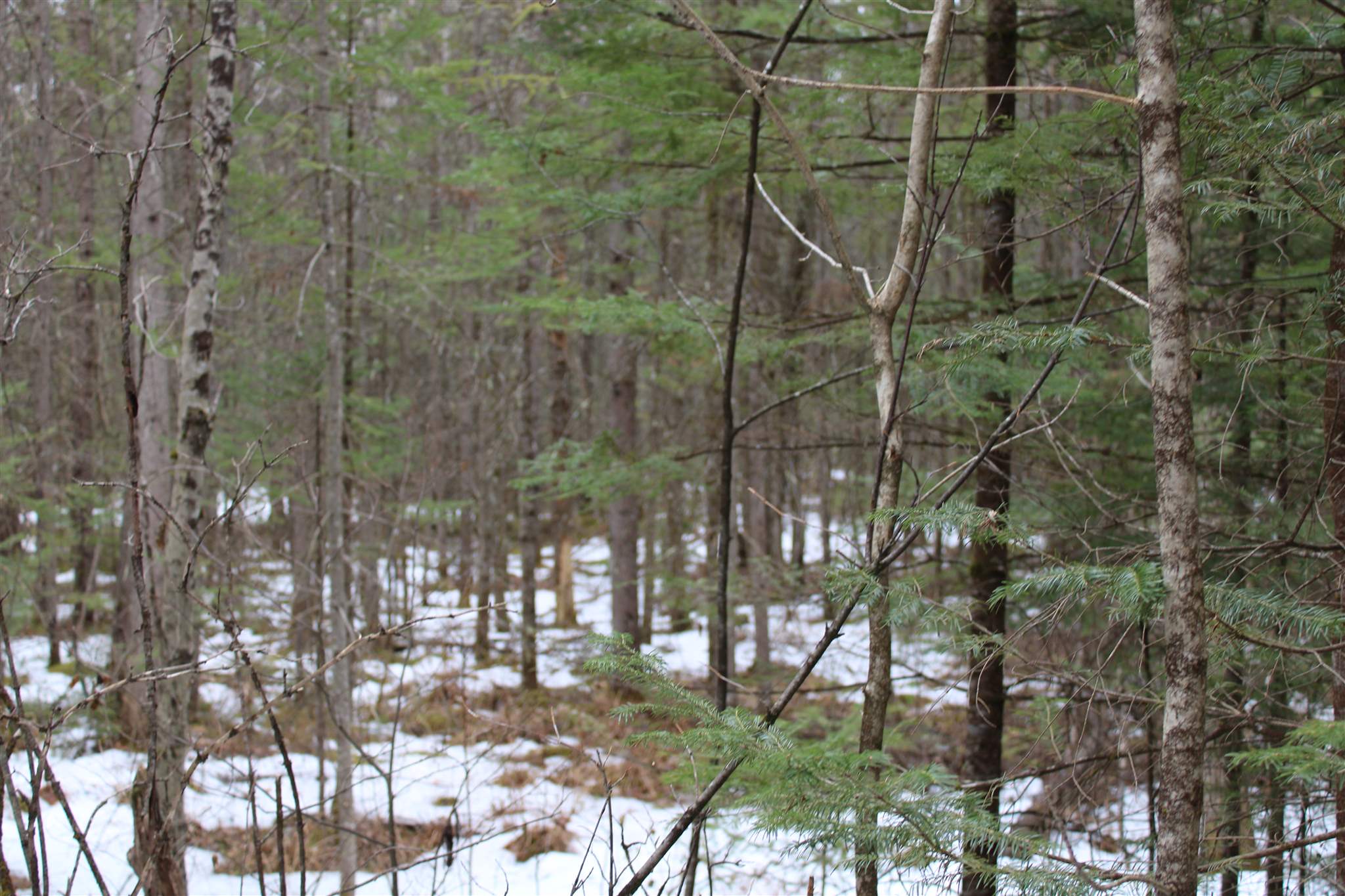 Faraway Road Dalton, NH 03598 - Photo 12 of 15