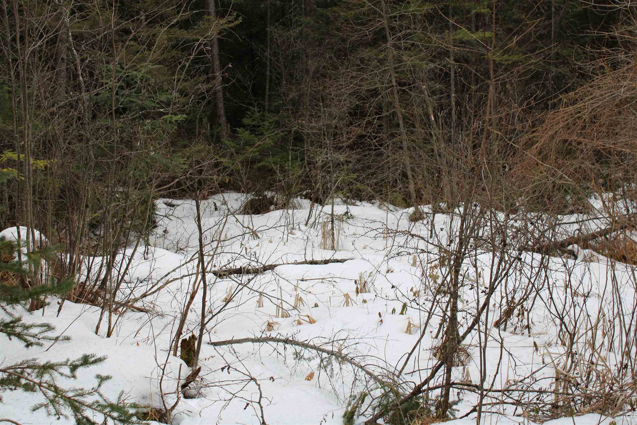 Faraway Road Dalton, NH 03598 - Photo 13 of 15