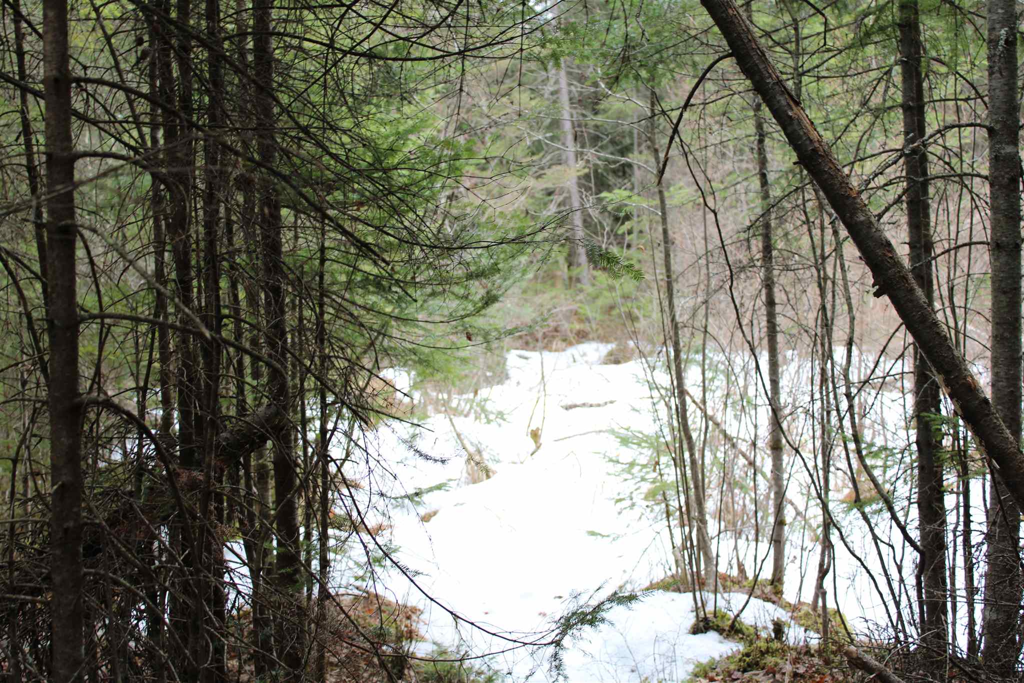 Faraway Road Dalton, NH 03598 - Photo 15 of 15