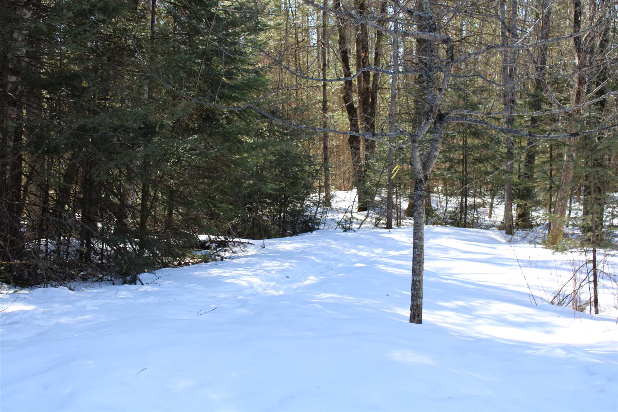 Faraway Road Dalton, NH 03598 - Photo 4 of 15