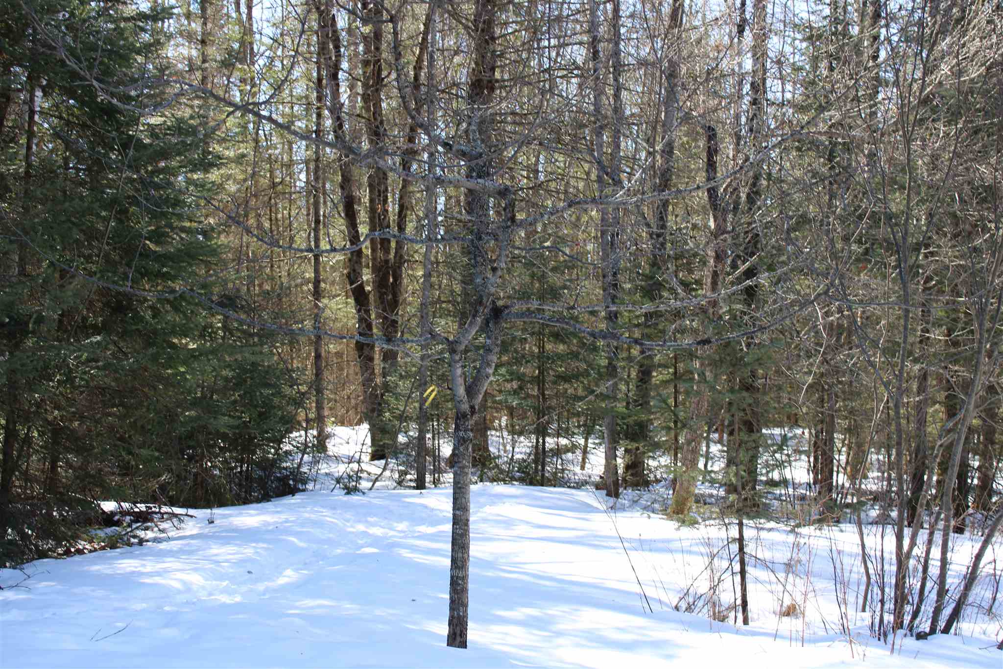 Faraway Road Dalton, NH 03598 - Photo 5 of 15