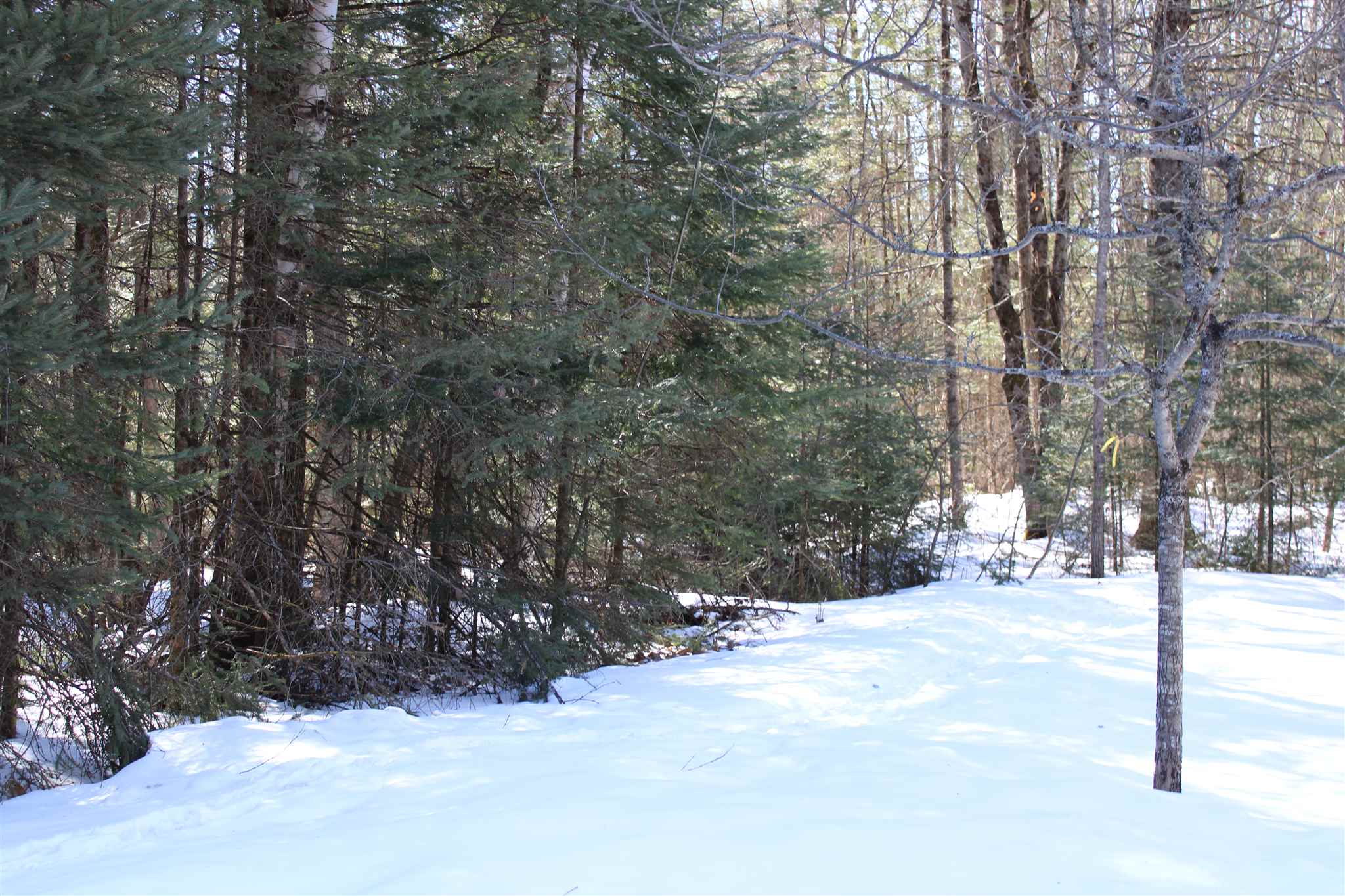 Faraway Road Dalton, NH 03598 - Photo 6 of 15