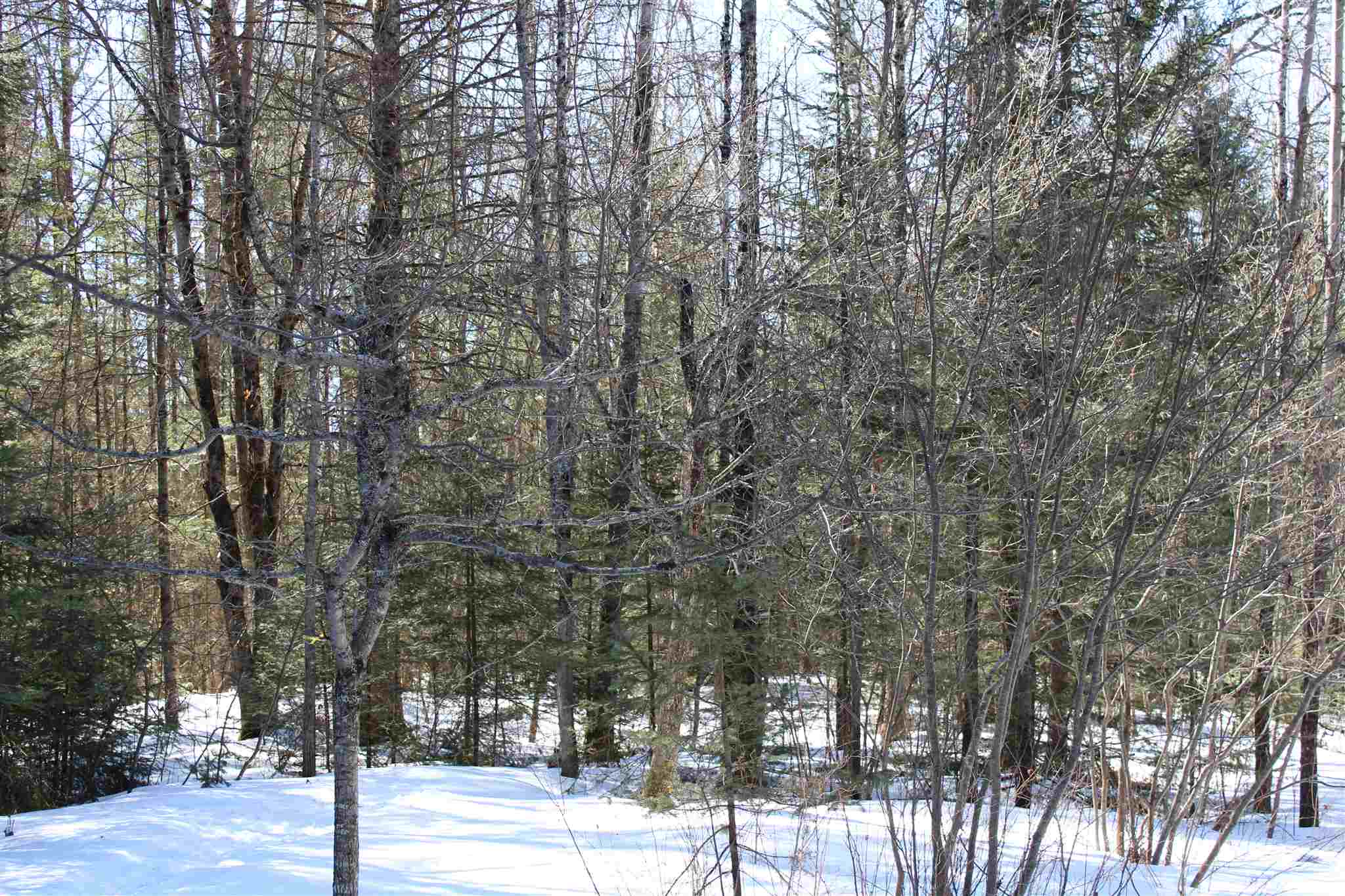 Faraway Road Dalton, NH 03598 - Photo 8 of 15