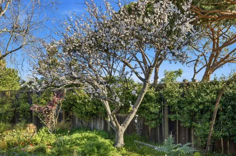 $1,999,000 | 572 Seahorse Lane, Redwood Shores, CA 94065