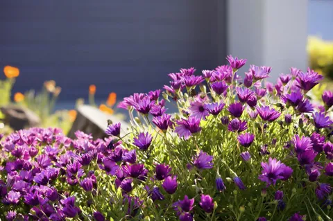 $1,999,000 | 572 Seahorse Lane, Redwood Shores, CA 94065