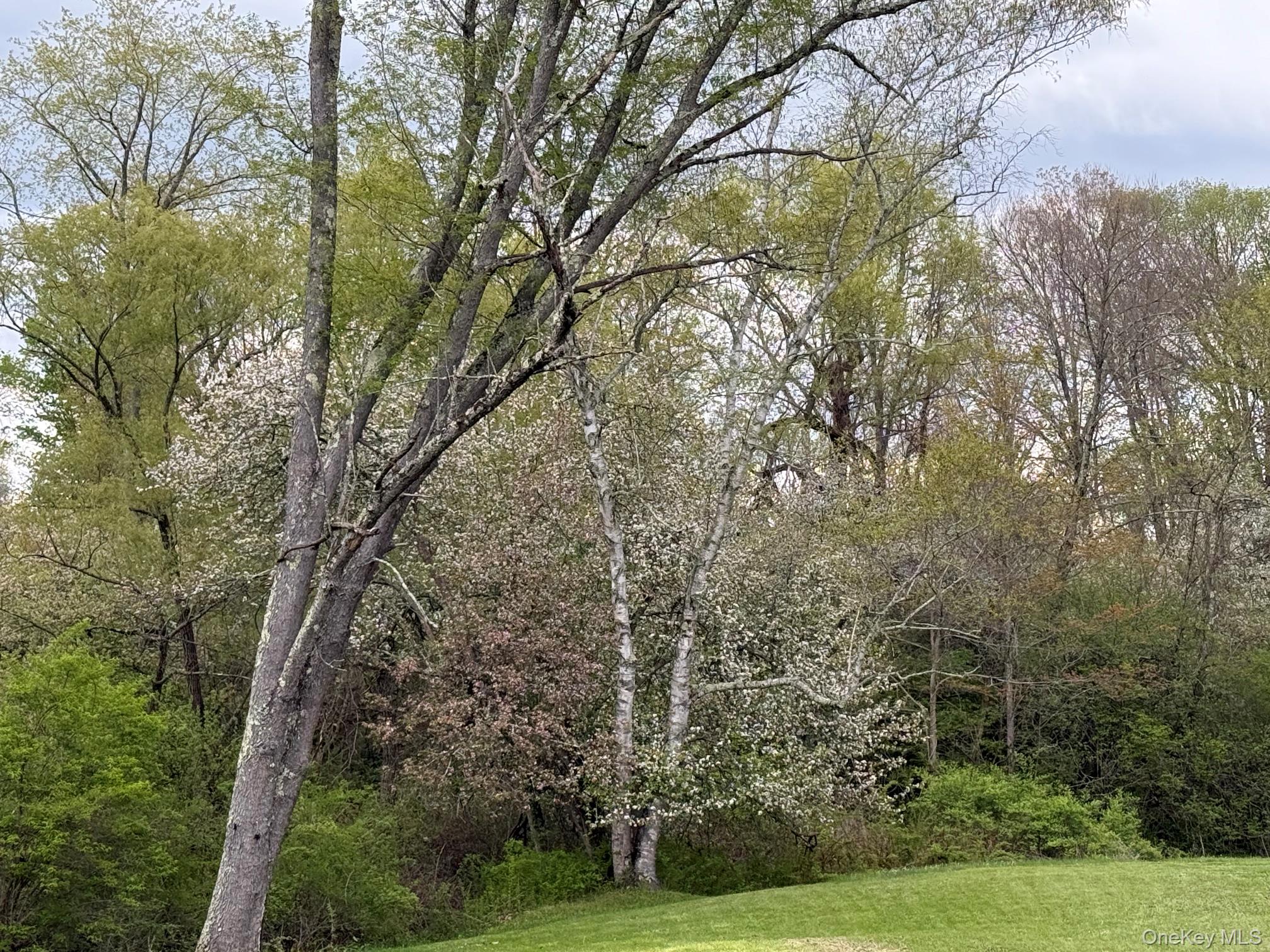 126 Perrys Corners Road Amenia, NY 12501 - Photo 15 of 16 a view of a field with trees in the background