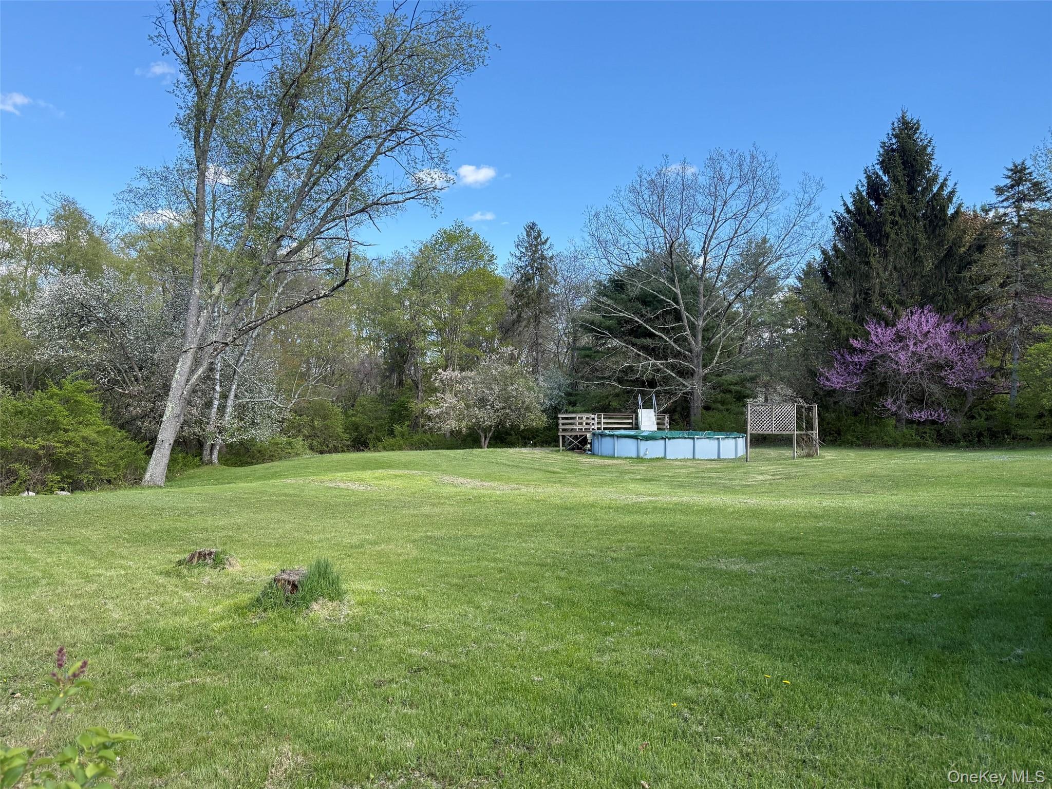 126 Perrys Corners Road Amenia, NY 12501 - Photo 2 of 16 a view of a park with large trees