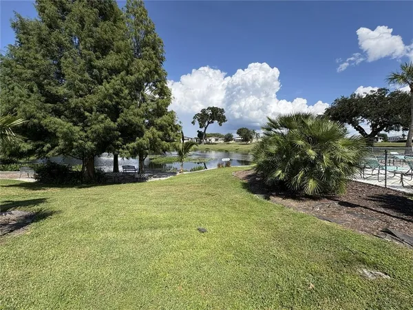 a view of a big yard with plants and large trees