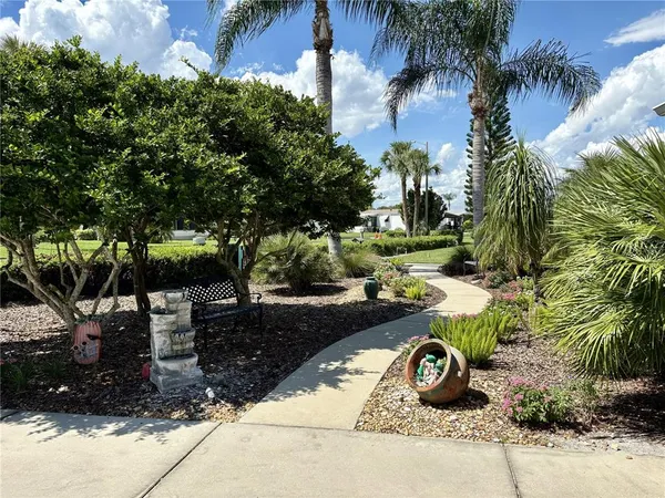 a view of a park with plants and trees