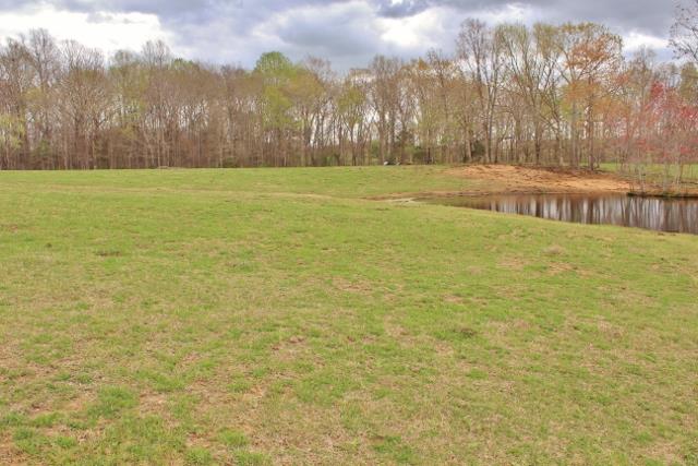 7258 Anderson Road Fairview, TN 37062 - Photo 18 of 22 Gallery Image 18