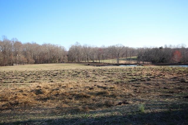 7258 Anderson Road Fairview, TN 37062 - Photo 3 of 22 Gallery Image 3