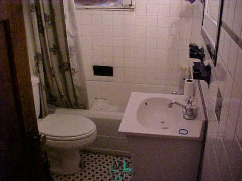 73601 South Fulton Armada, MI 48005 - Photo 4 of 6 431303-3.JPG