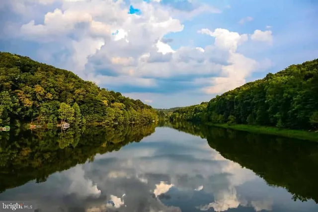 a view of a bench in the garden near a lake