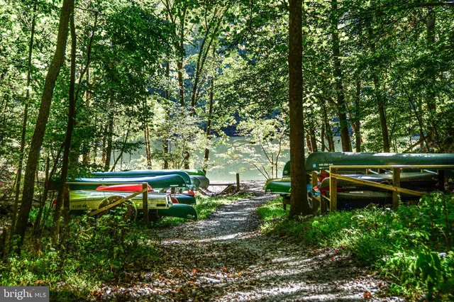 a view of a playground with a tree