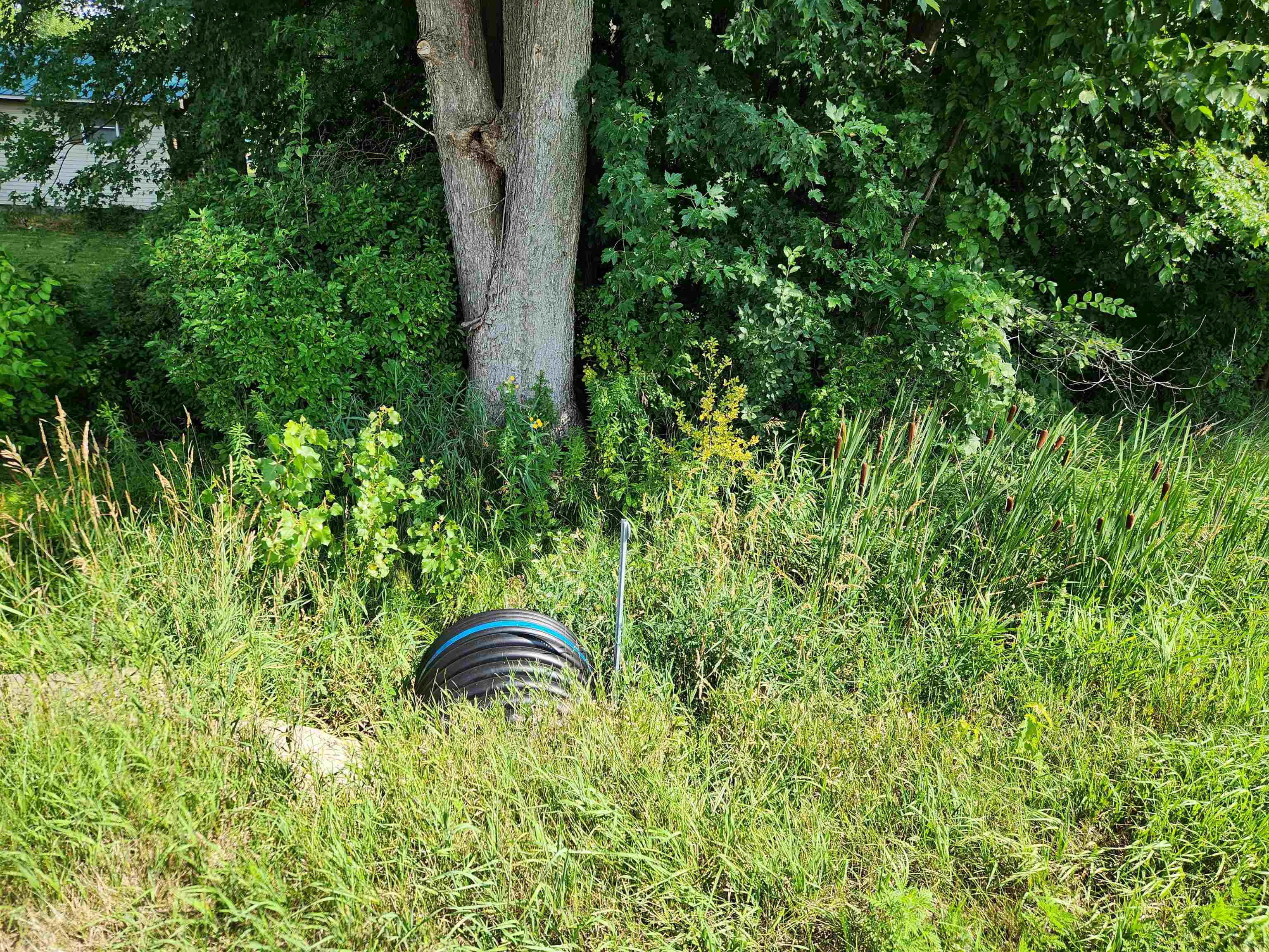 10-acres Beaverton Road Beaverton, MI 48612 - Photo 5 of 6