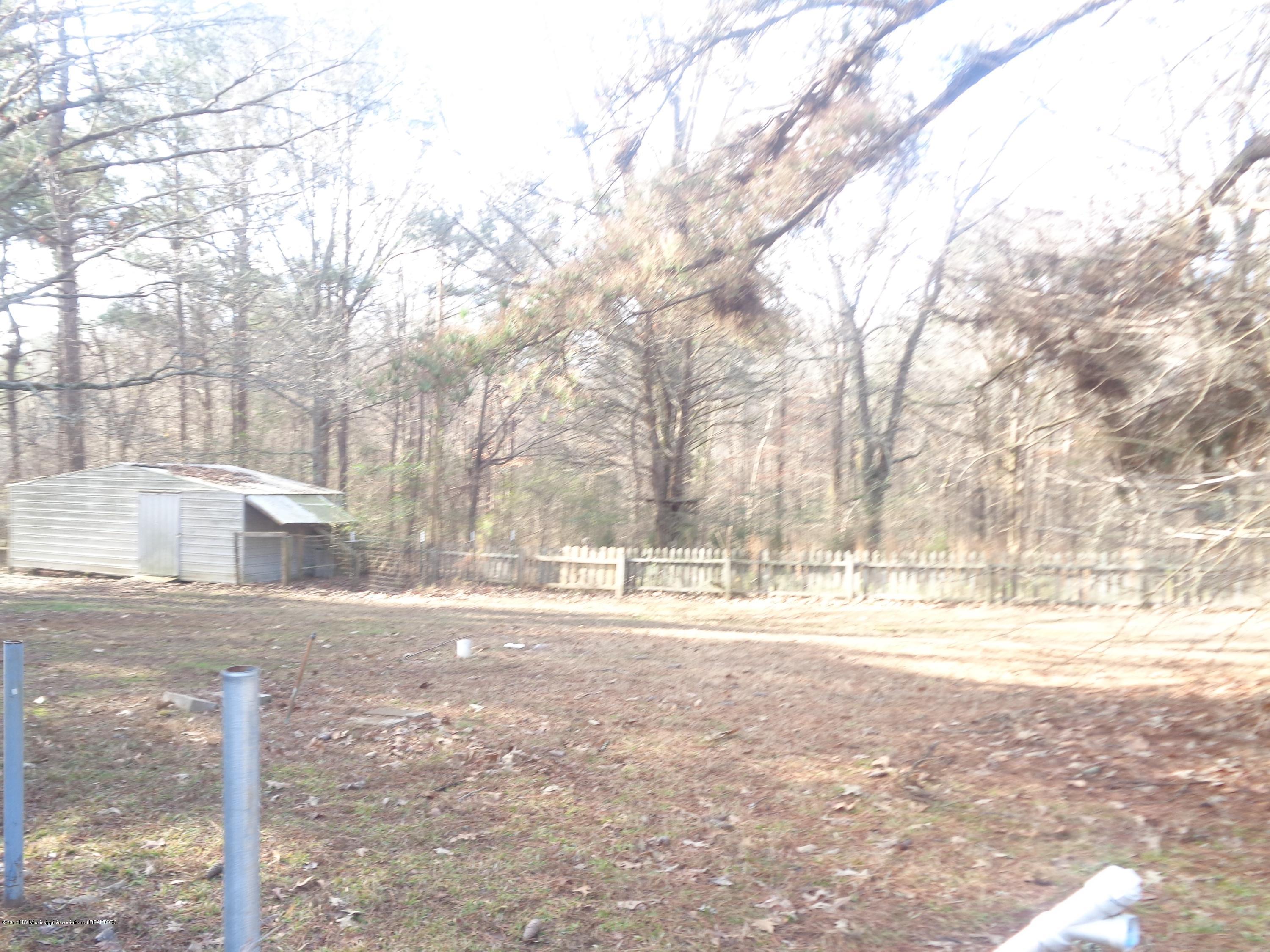1980 Peyton Road Coldwater, MS 38618 - Photo 3 of 14 backyard
