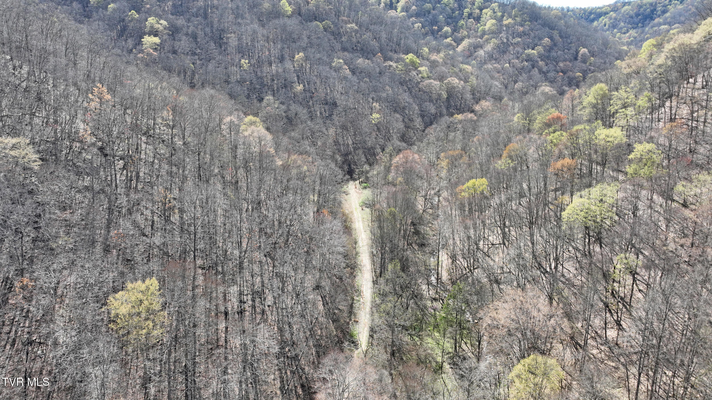 0 Guesses Fork Road Hurley, VA 24620 - Photo 27 of 31 IMG_7463