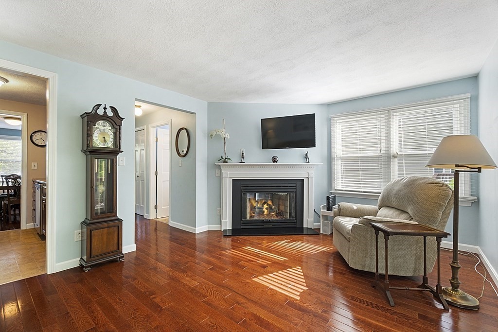 1541 Middlesex Street, Unit 16 Lowell, MA 01851 - Photo 4 of 29 a living room with furniture and a fireplace