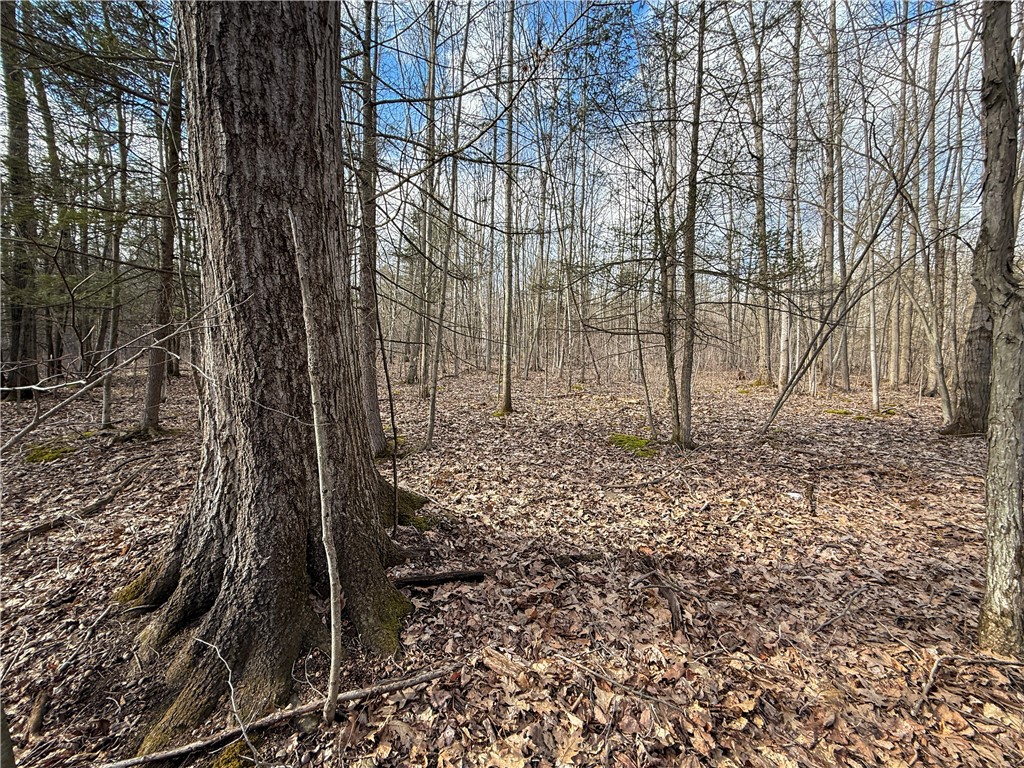 Briggs Hill Road Van Etten, NY 14889 - Photo 41 of 50