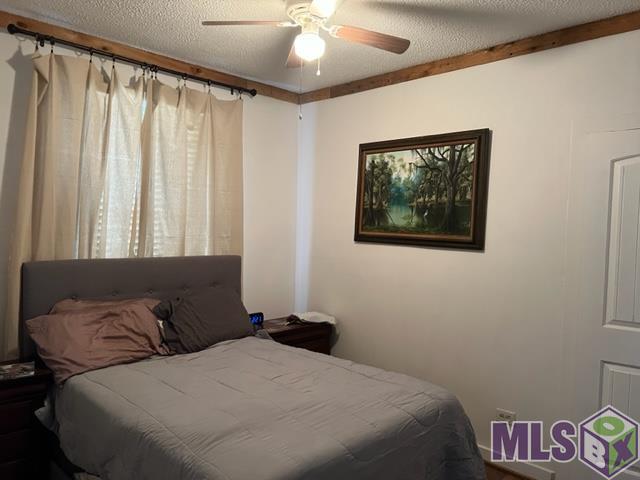 23524 Williams Lane Springfield, LA 70462 - Photo 9 of 17 Gallery Image 9
