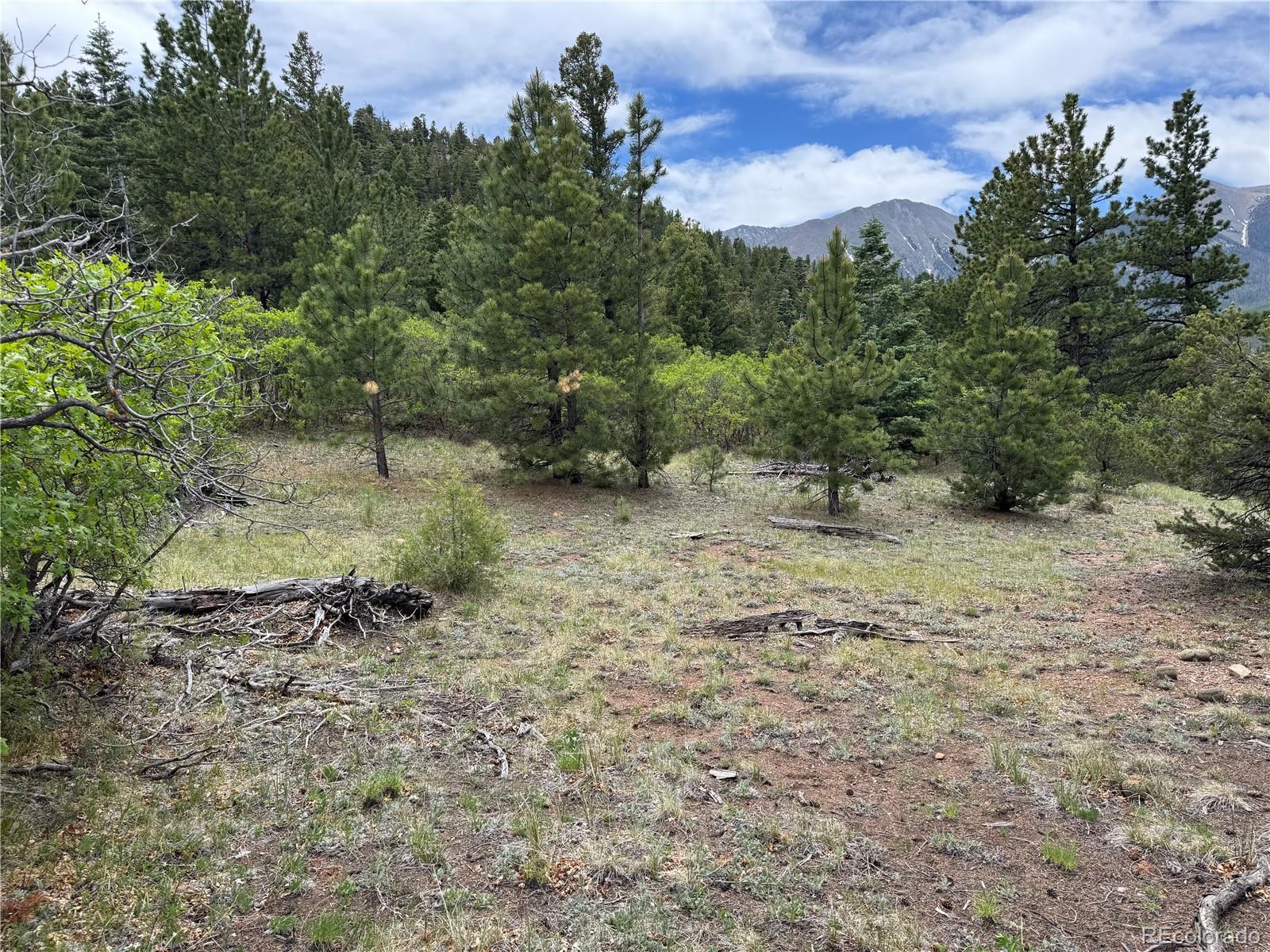 Knotty Pine Road Salida, CO 81201 - Photo 4 of 42 Gallery Image 4