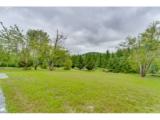 172 Stone Mill Road Kalama, WA 98625 - Photo 6 of 27 Gallery Image 6