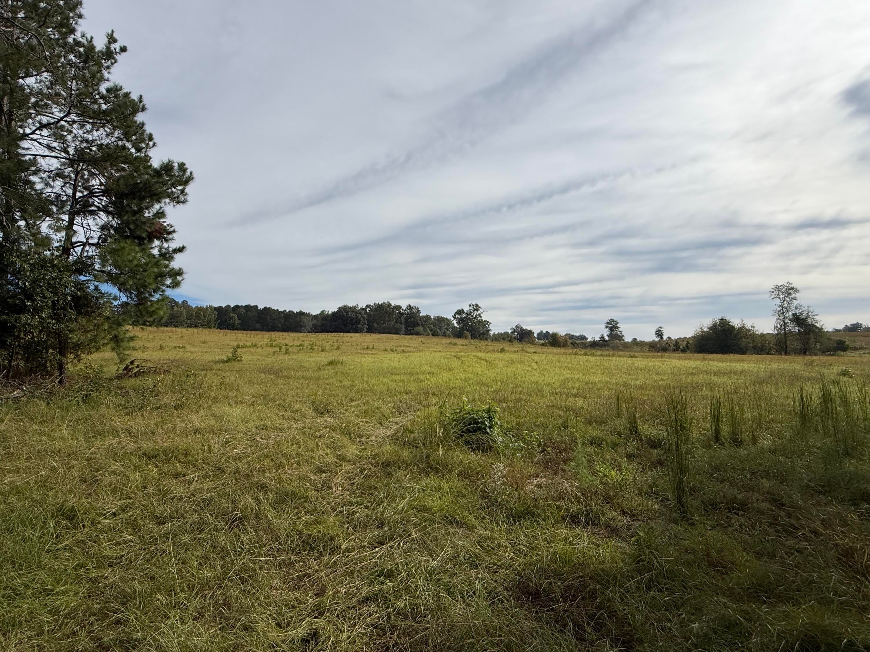 Tbd New Holland Road Aiken, SC 29805 - Photo 3 of 7 Gallery Image 3