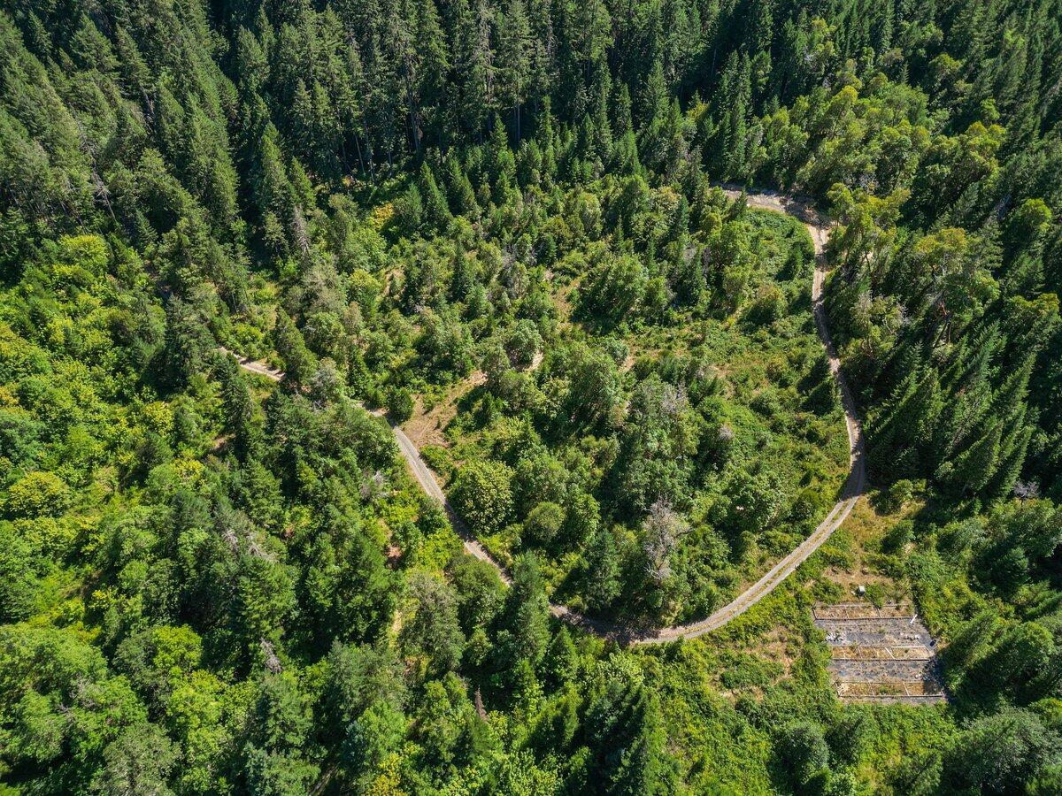 433 Old Stage Road Wolf Creek, OR 97497 - Photo 1 of 13 Aerial