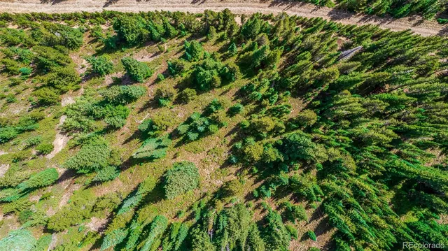 $25,000 | 508 Hilltop Road, Idaho Springs, CO 80452