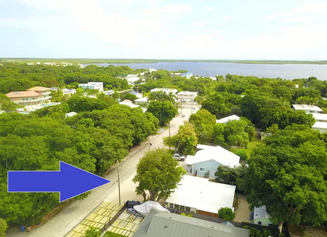an aerial view of residential houses with outdoor space and trees