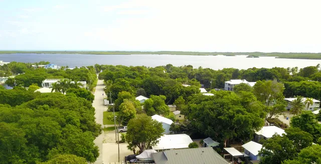 a view of lake with green space