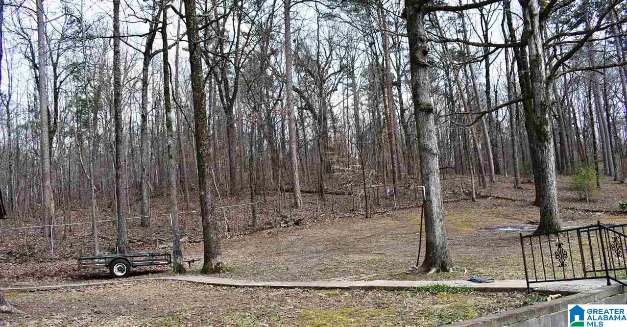 4757 Indian Valley Road Birmingham, AL 35217 - Photo 17 of 21