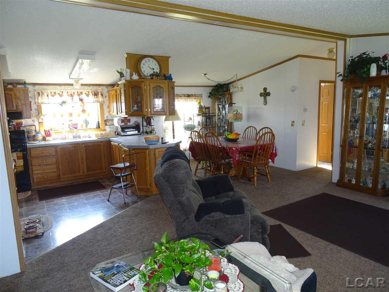 10475 Plank Road Clayton, MI 49235 - Photo 8 of 29 31376983-7.JPG