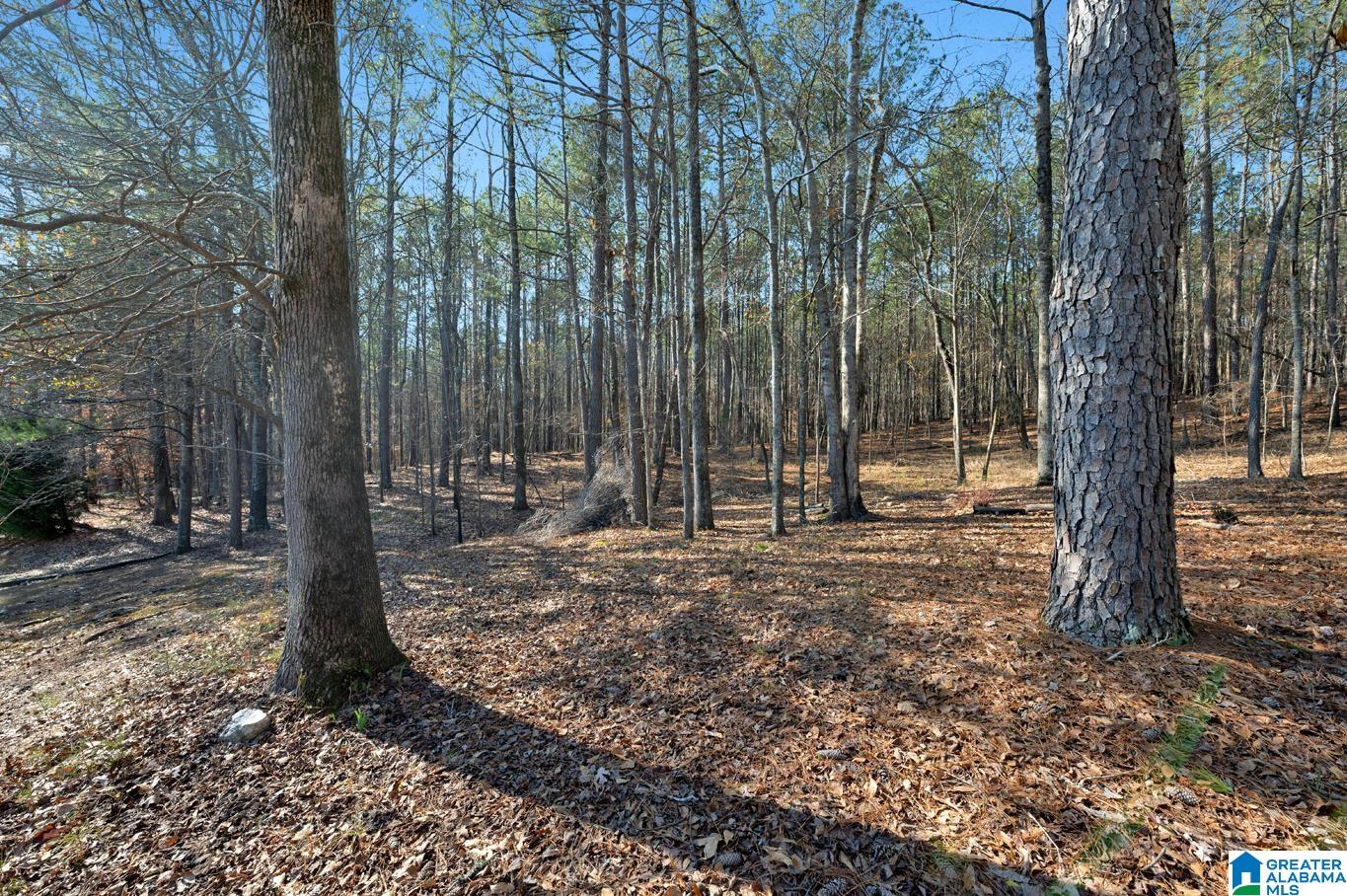 412 Sunset Lake Circle Chelsea, AL 35043 - Photo 2 of 31