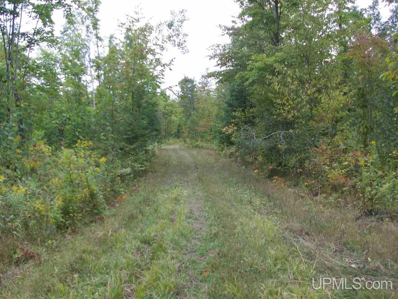 Tbd Fordville Road Foster City, MI 49807 - Photo 12 of 18
