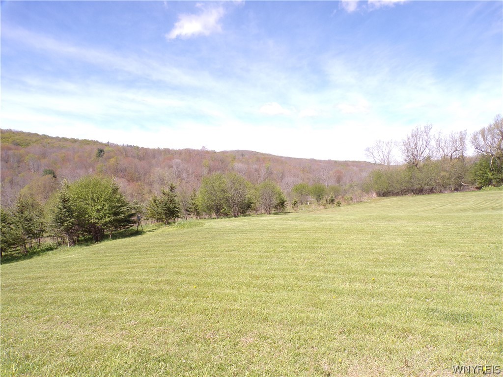 7581 North Branch Road Friendship, NY 14739 - Photo 9 of 22