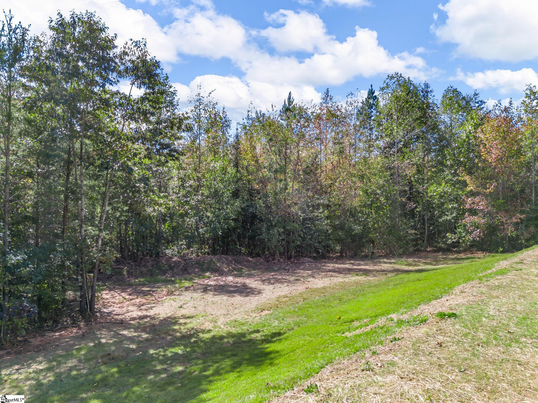 2175 Fate Dill Road Greer, SC 29651 - Photo 38 of 48