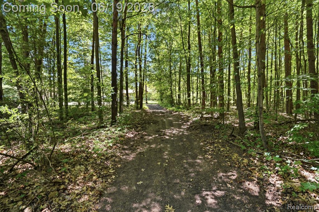 3167 Roods Lake Road Lapeer, MI 48446 - Photo 31 of 38