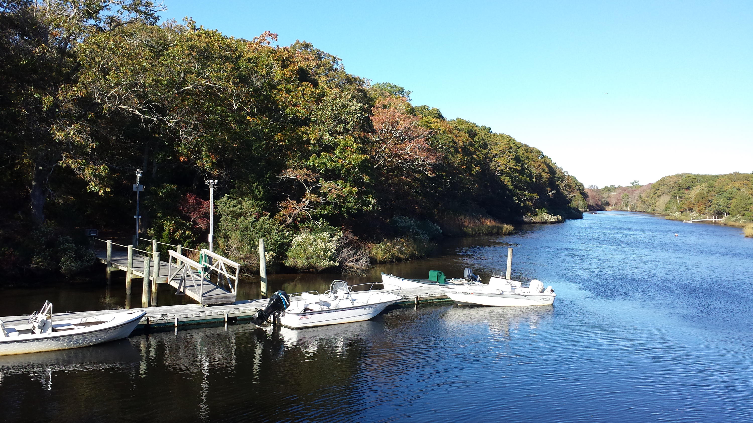 One of Two Association Docks