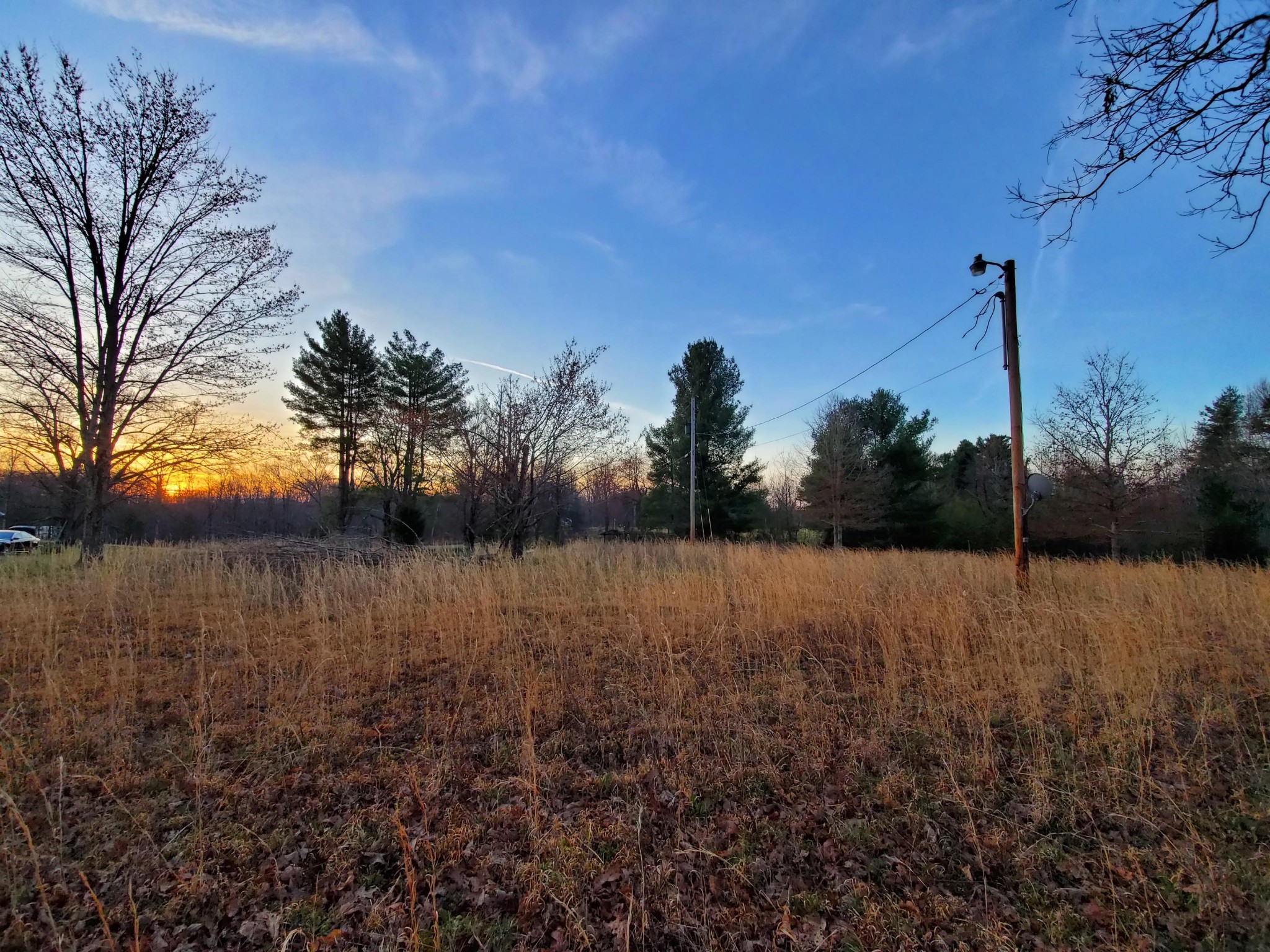 0 Red Hill Road Sunbright, TN 37872 - Photo 1 of 4 a view of a yard