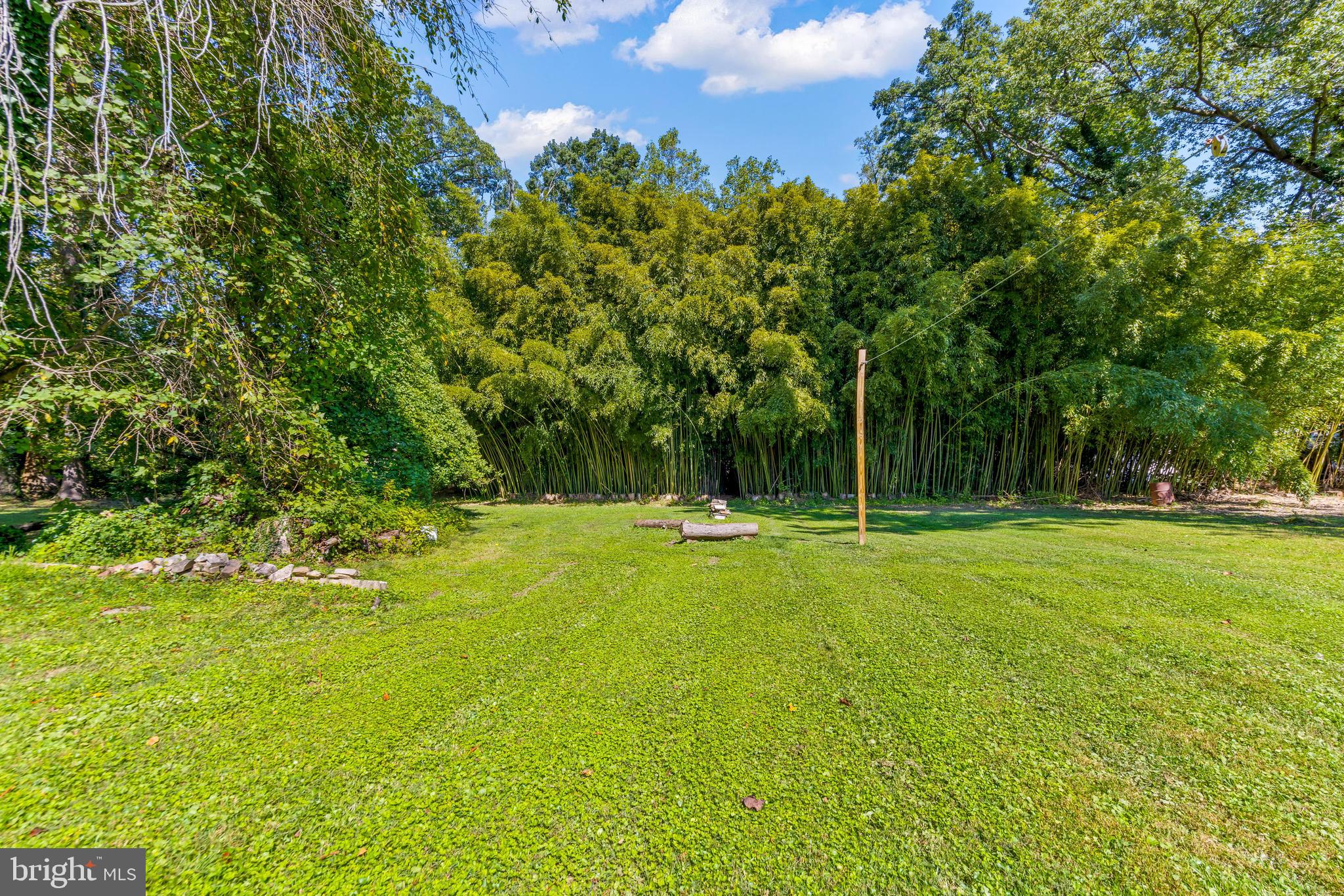 2926 Placid Avenue Baltimore, MD 21234 - Photo 35 of 37 a view of a trees with a big yard