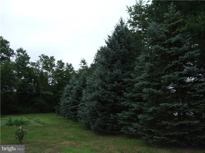 319 Ridge Road Southampton, NJ 08088 - Photo 14 of 25 View