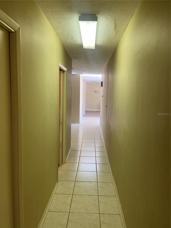 14103 Black Lake Road Odessa, FL 33556 - Photo 23 of 34