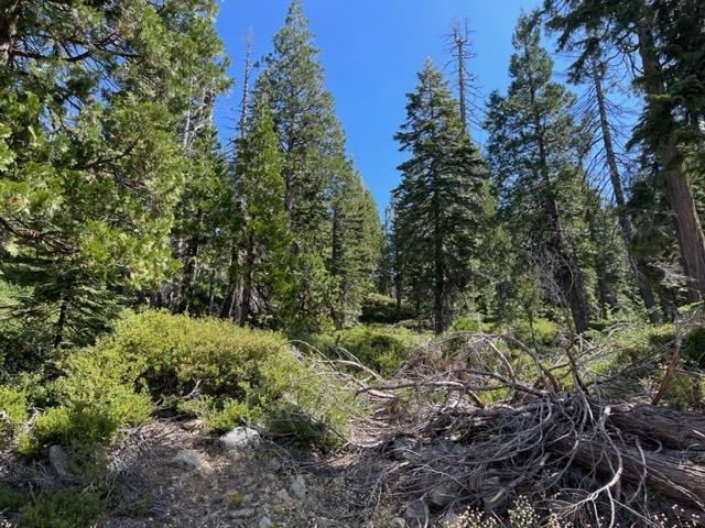 0 Big Creek Road Quincy, CA 95971 - Photo 15 of 19
