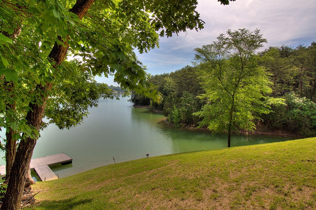3024 Buck Horn Road Sevierville, TN 37876 - Photo 7 of 37 Gallery Image 7
