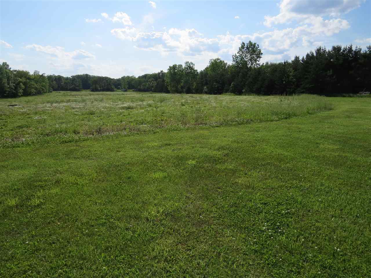 11310 Odell Road Linden, MI 48451 - Photo 40 of 61 31383990-39.JPG