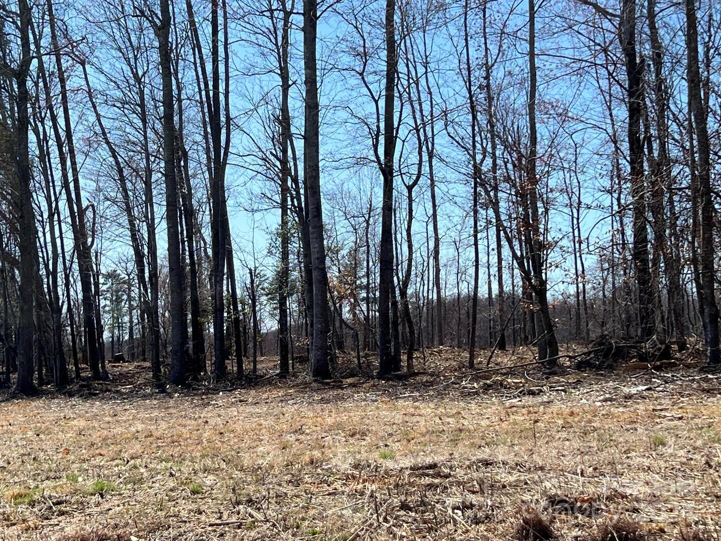 0 Absher Road Hays, NC 28635 - Photo 6 of 10 a view of outdoor space with lots of trees