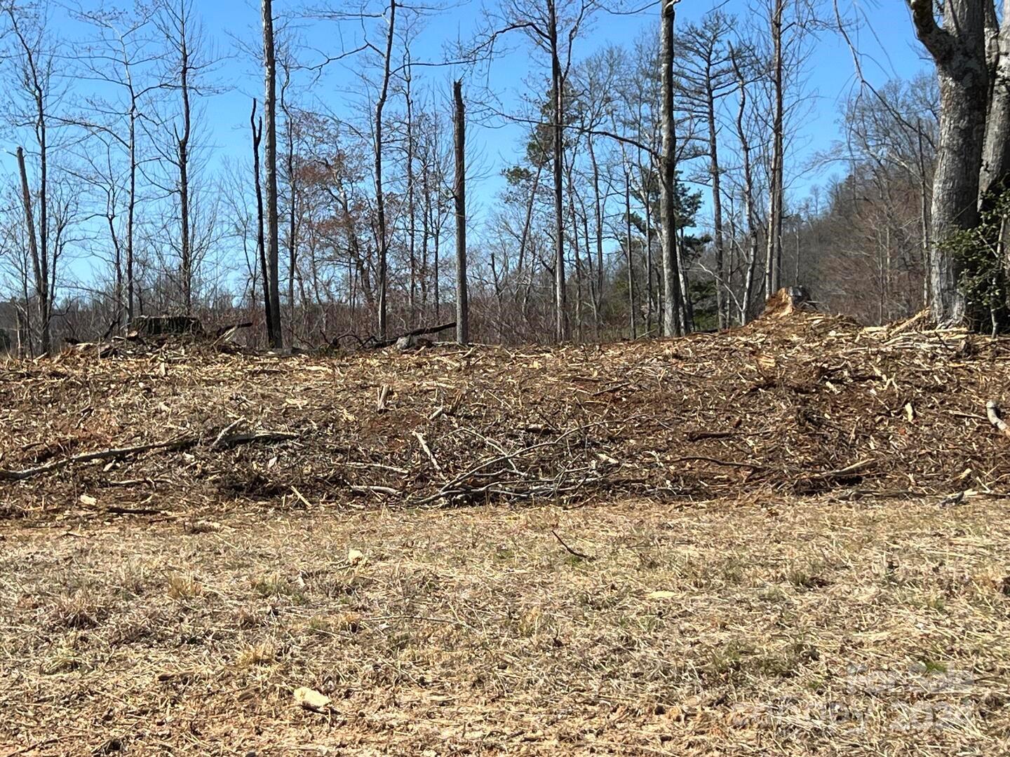 0 Absher Road Hays, NC 28635 - Photo 8 of 10 a view of a backyard of the house