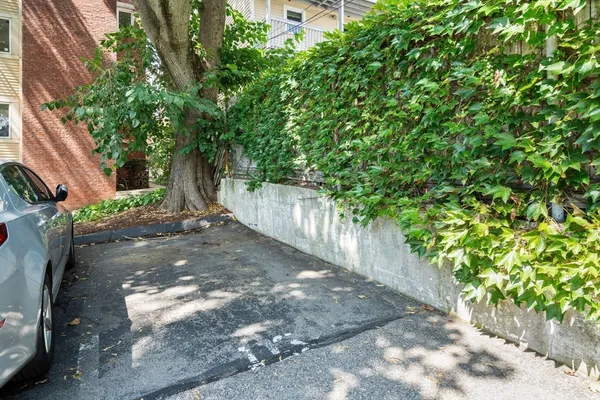 a view of a yard with plants and a trees